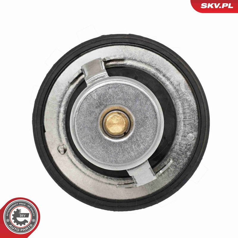 ESEN SKV 20SKV237 Termostatas