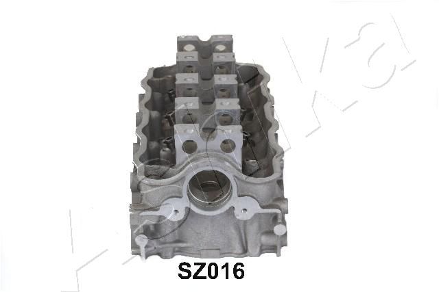 SZ016_3.JPG