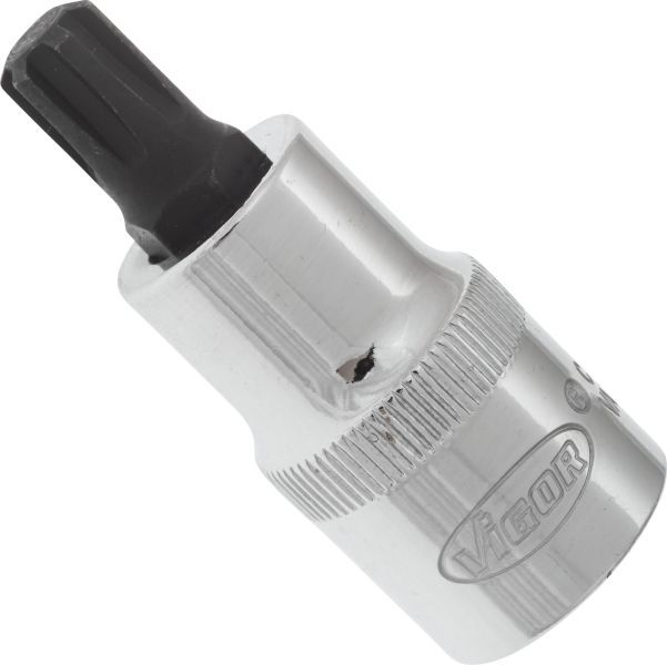 Padrun, VIGOR V2206