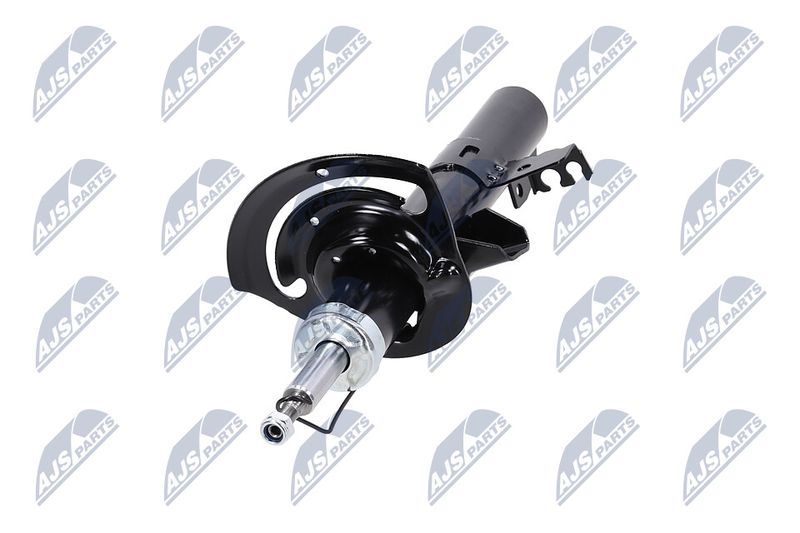 Amort, NTY A-CH-083