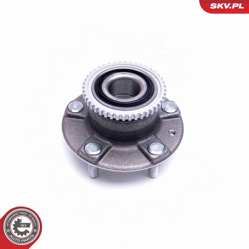 ESEN SKV 29SKV399 Wheel Bearing Kit