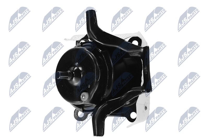 Paigutus, Mootor, NTY ZPS-CH-150