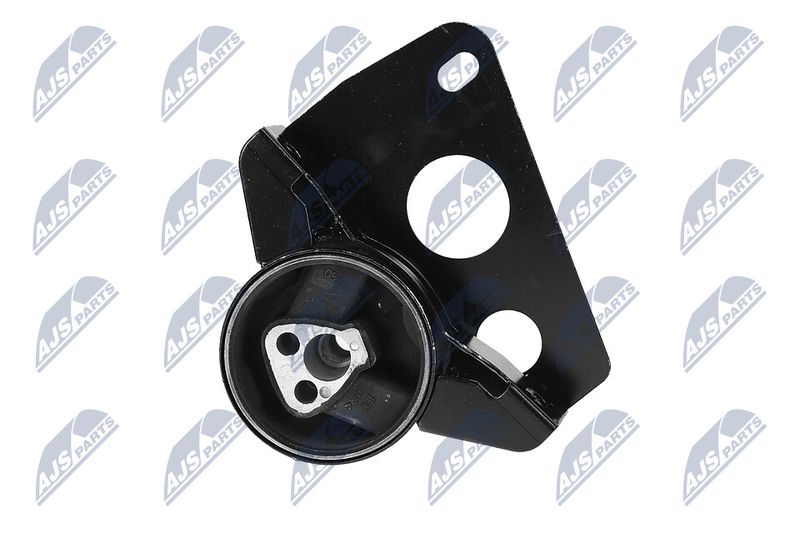 Paigutus, Mootor, NTY ZPS-DW-007