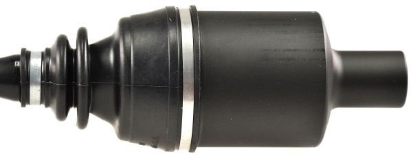 GKND11784D.JPG