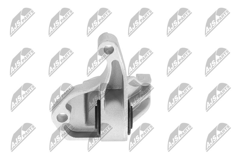 Paigutus, Mootor, NTY ZPS-FR-049