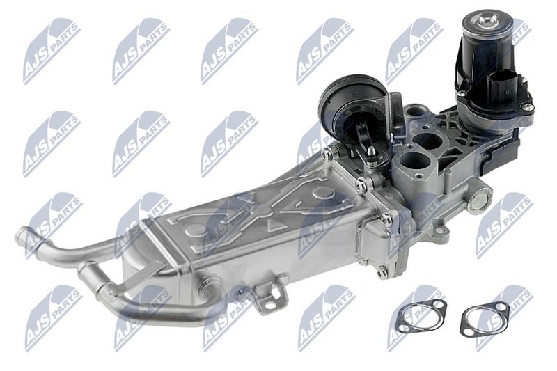 egr-vw-019_1-wm.JPG