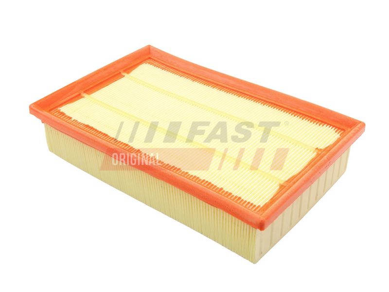 FAST Oro filtras