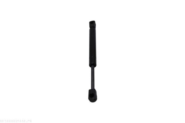 AUTOMEGA 100002310 Gas Spring, bonnet