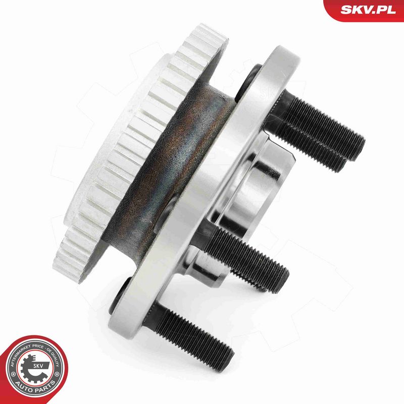 ESEN SKV 29SKV700 Wheel Bearing Kit