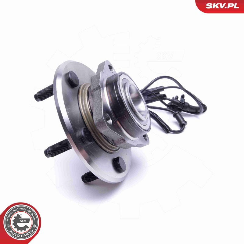 ESEN SKV 29SKV308 Wheel Bearing Kit