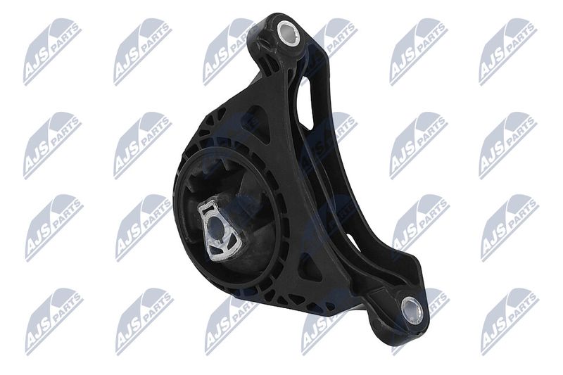 Paigutus, Mootor, NTY ZPS-PL-011