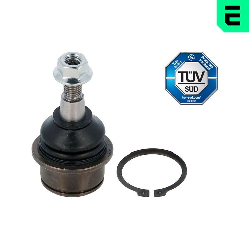 Kande-, juhtliigend,...