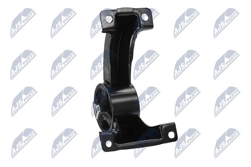 Paigutus, Mootor, NTY ZPS-CH-169