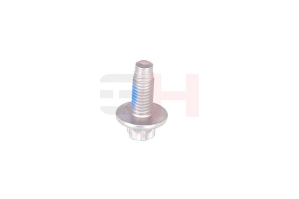 Vedruamordi tugilaager, GH GH-393311