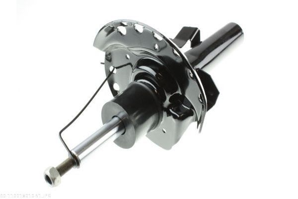 AUTOMEGA 110018010 Shock Absorber