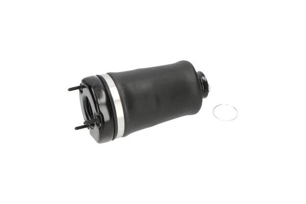 Kavo Parts SAS-10004 Air Spring, suspension