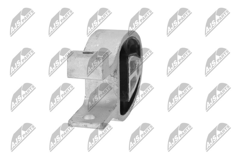 Paigutus, Mootor, NTY ZPS-FR-010