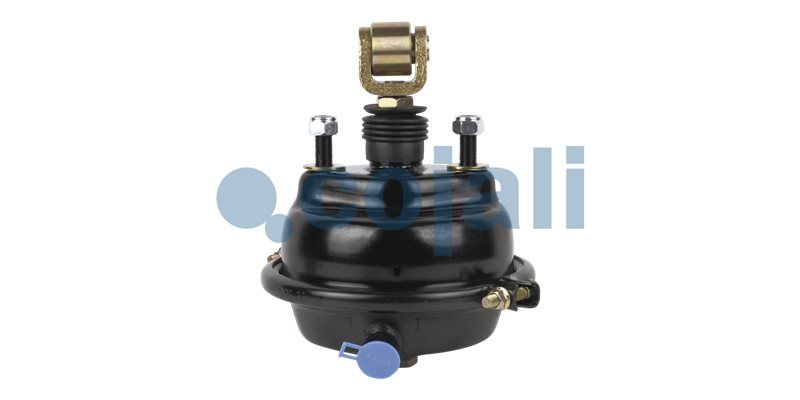 Cilindru receptor frana cu membrana COJALI 2251116