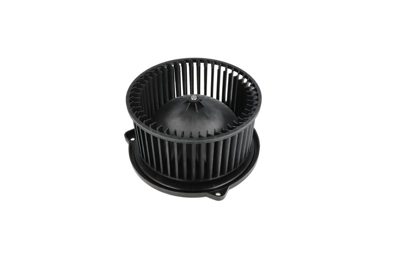 Salongipuhur, NRF 34331