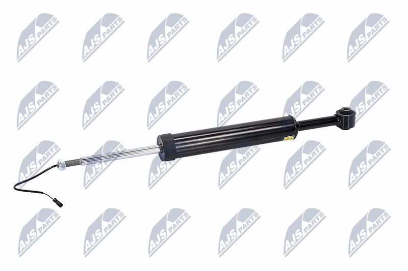 Amort, NTY A-MA-002