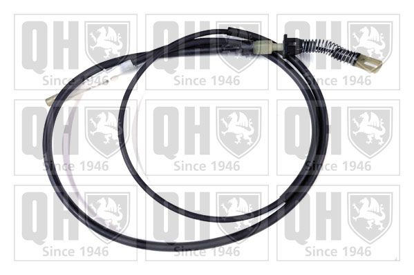 QH_QTC5063.JPG