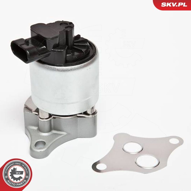 EGR-klapp, ESEN SKV 14SKV042
