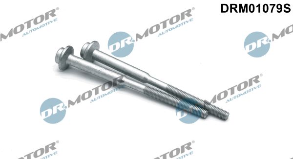 Dr.Motor Automotive Csavar, befecskendező fúvóka tartó DRM01079S