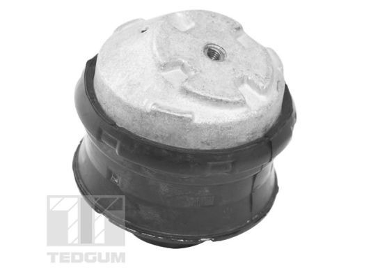 TED72237_#2.JPG