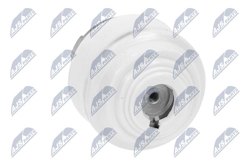 Paigutus, Mootor, NTY ZPS-ME-099