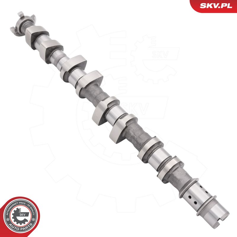 Nukkvõll, ESEN SKV 80SKV049