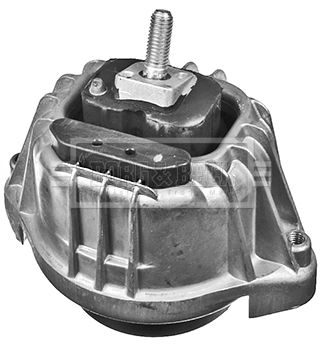 BEM4088_210865.JPG