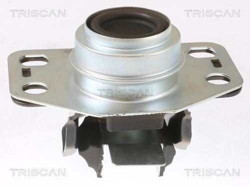 TRISCAN felfüggesztés, motor 8505 25107