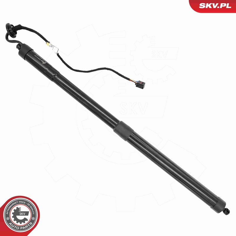 ESEN SKV 52SKV191 Electric Motor, tailgate