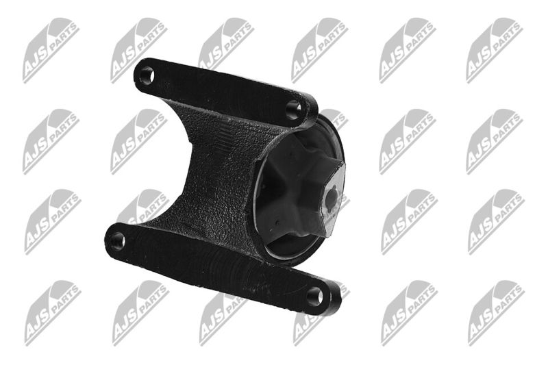 Paigutus, Mootor, NTY ZPS-CH-008