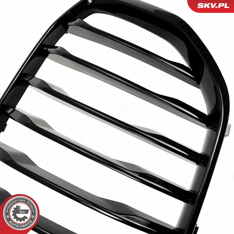 Radiaatorivõre, ESEN SKV 66SKV300