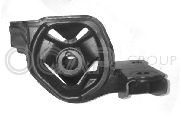 OCAP Variklio montavimas
