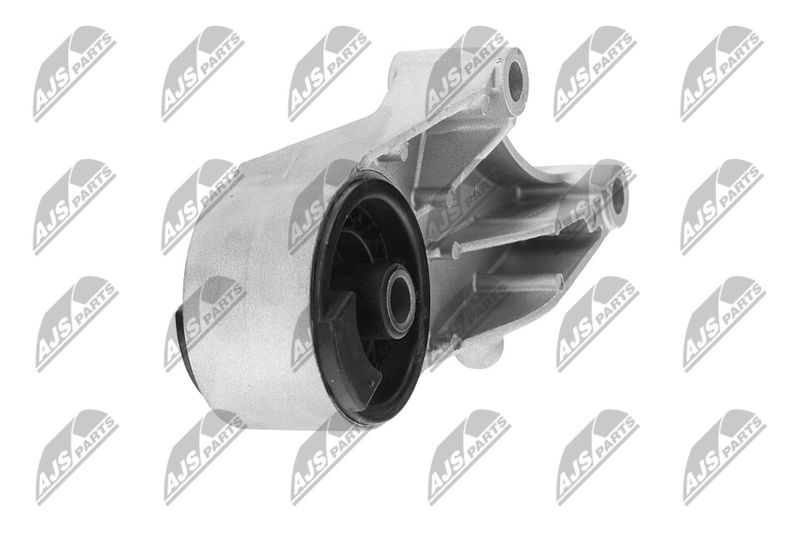 Paigutus, Mootor, NTY ZPS-PL-069
