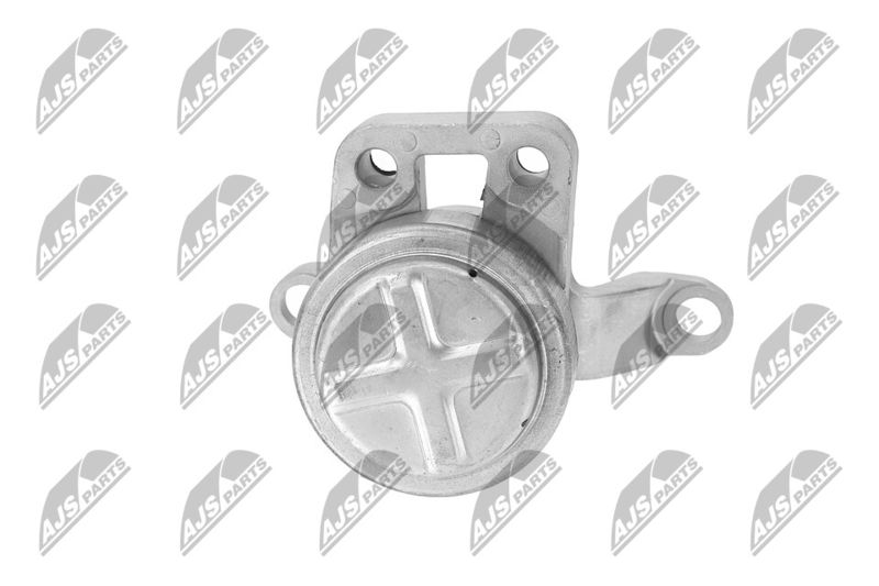 Paigutus, Mootor, NTY ZPS-FR-033