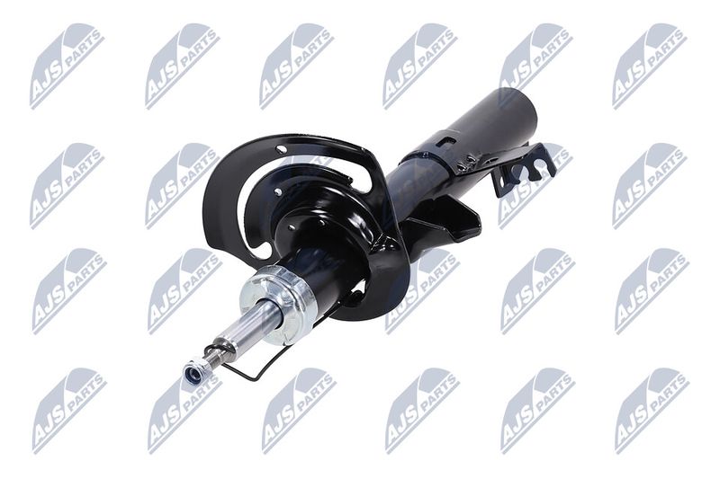 Amort, NTY A-CH-083