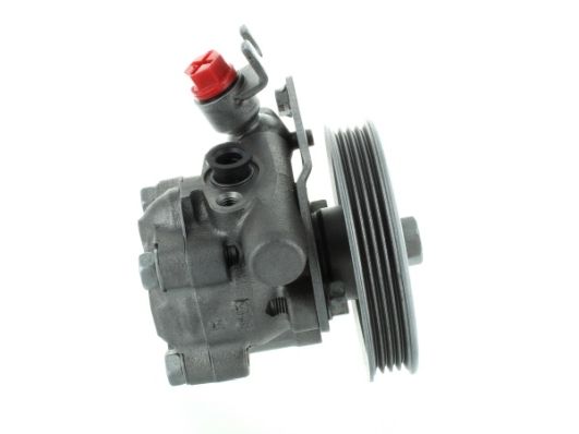 SPIDAN 53804 Hydraulic Pump, steering