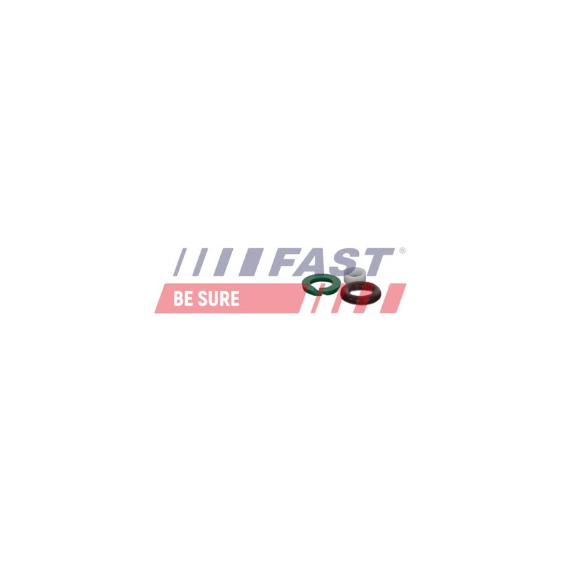 FAST FT01835 Repair Kit, unit injector