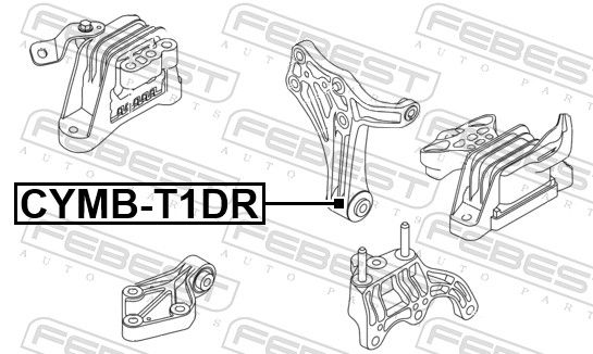Paigutus, Mootor, FEBEST CYMB-T1DR