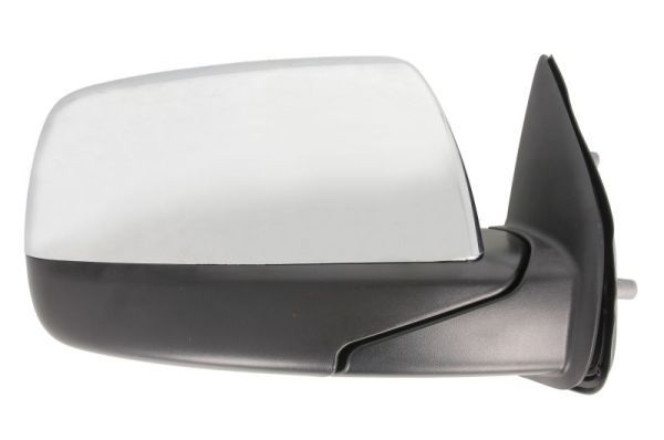 BLIC 5402-03-2001234P Exterior Mirror