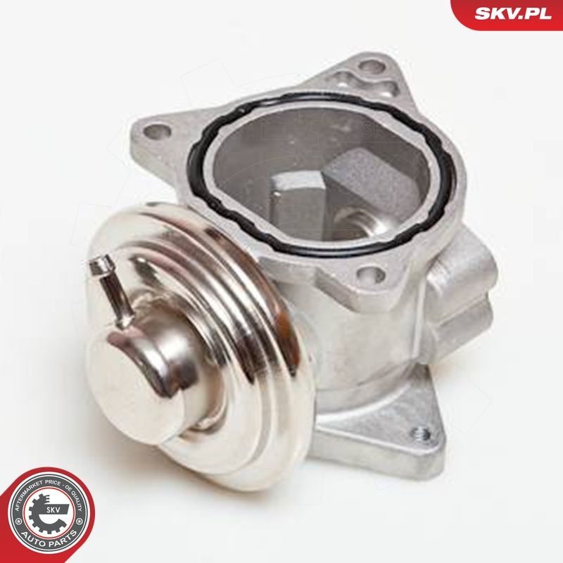 EGR-klapp, ESEN SKV 14SKV019