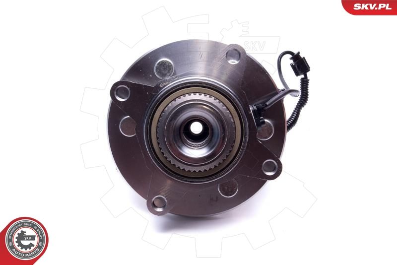ESEN SKV 29SKV553 Wheel Bearing Kit
