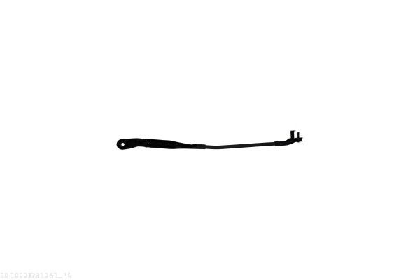 AUTOMEGA 100037910 Wiper Arm, window cleaning