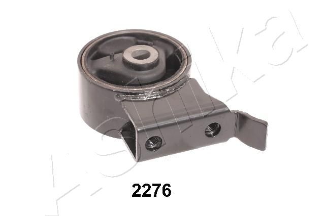 GOM-2276_1.JPG