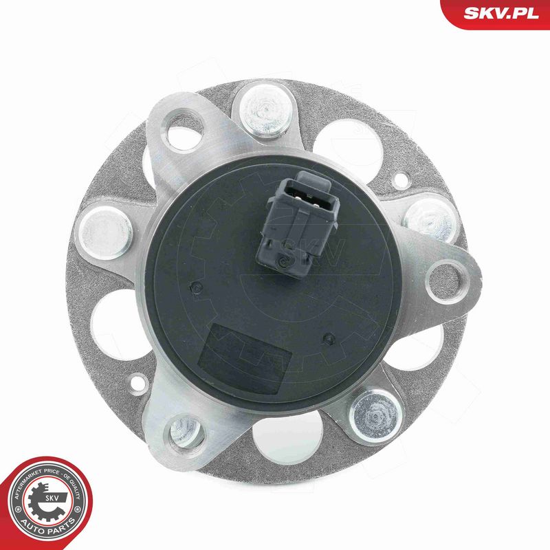 ESEN SKV 29SKV603 Wheel Bearing Kit