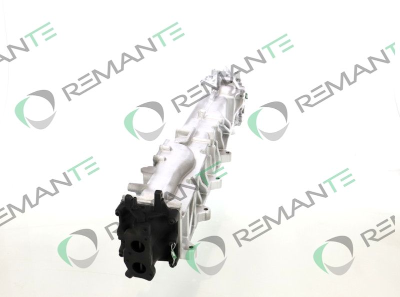 REMANTE 010-001-000017R EGR Module
