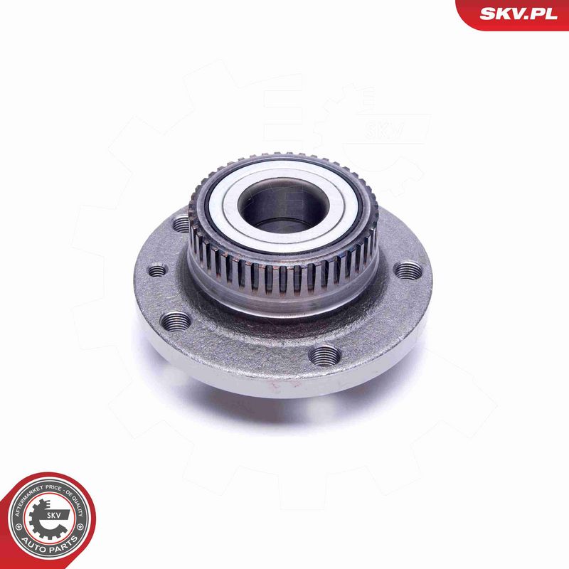 ESEN SKV 29SKV331 Wheel Bearing Kit